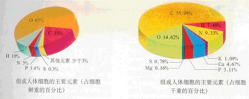 世间万物,生而为碳