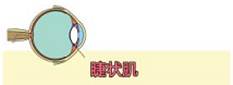 近视的“前世今生” 家有“近视娃”一定要看!