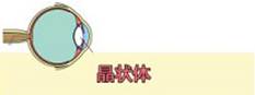近视的“前世今生” 家有“近视娃”一定要看!
