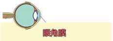 近视的“前世今生” 家有“近视娃”一定要看!