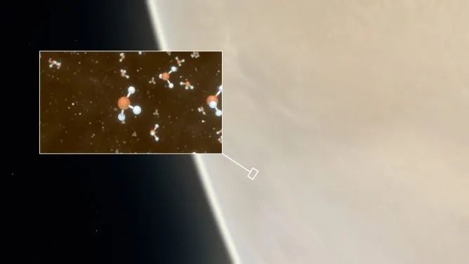 金星上面存在生命?这是当前最可能的解释