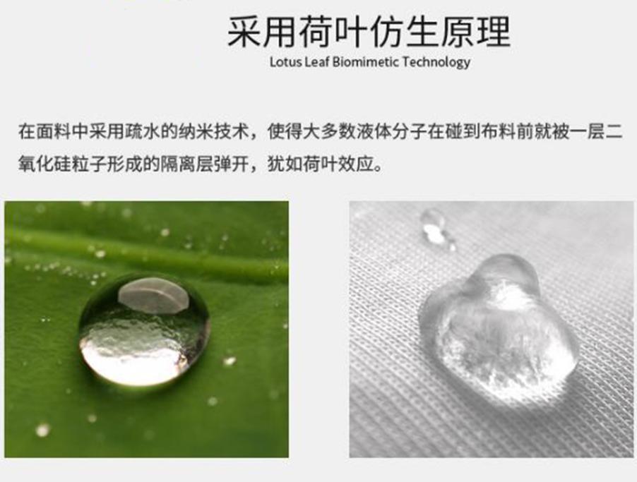 我们把荷叶放大了500倍,找到了它出淤泥而不染的原因