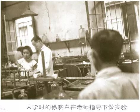 徐晓白院士:情系化学 返璞归真