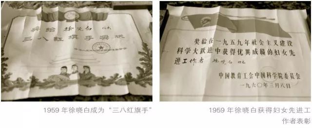 徐晓白院士:情系化学 返璞归真