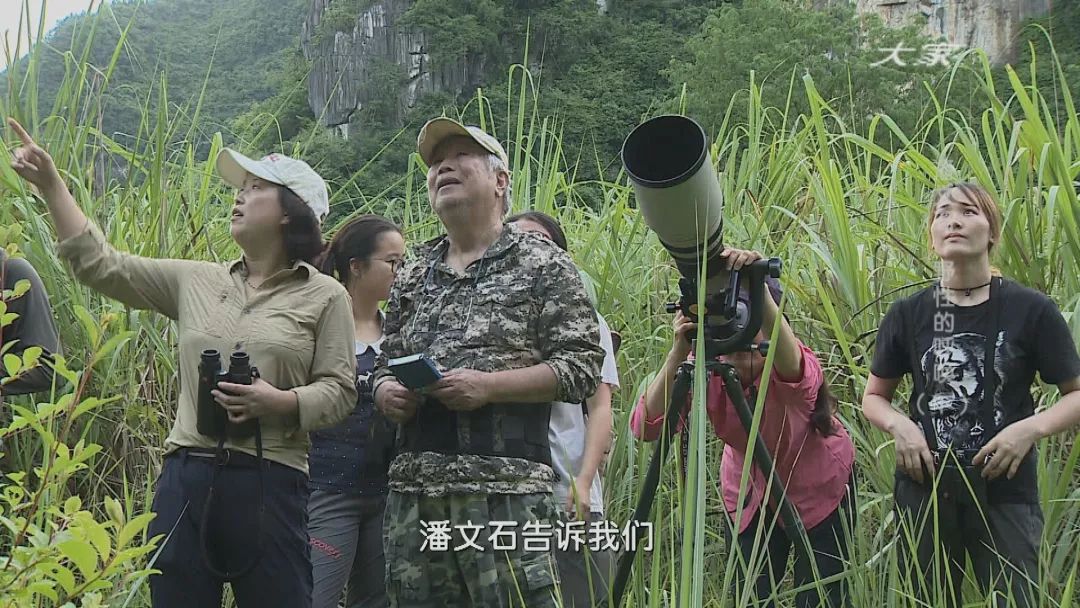 潘文石:从北大教授到山林村夫,他与野生动物共处38年
