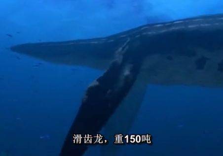纪录片都是对的?数数这些年忽悠我们的槽点