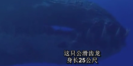 纪录片都是对的?数数这些年忽悠我们的槽点