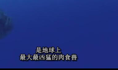 纪录片都是对的?数数这些年忽悠我们的槽点