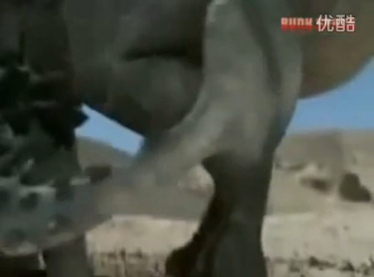 纪录片都是对的?数数这些年忽悠我们的槽点