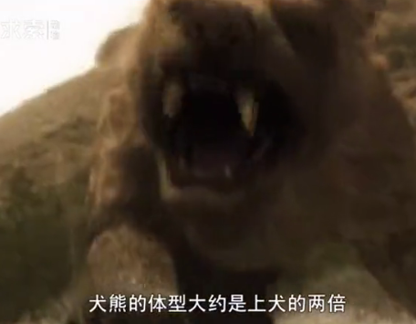 纪录片都是对的?数数这些年忽悠我们的槽点