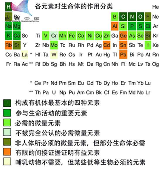 为什么人们感觉不到新元素对生活的影响了?