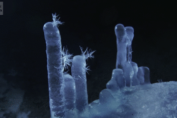 看过冰雪奇缘吗?现实版的那种