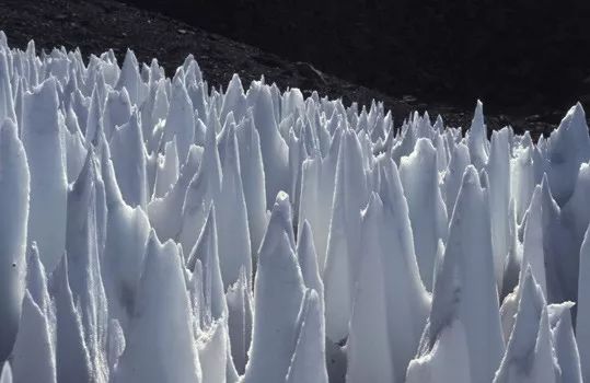 看过冰雪奇缘吗?现实版的那种