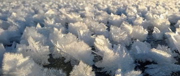 看过冰雪奇缘吗?现实版的那种