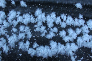 看过冰雪奇缘吗?现实版的那种