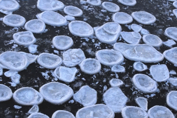看过冰雪奇缘吗?现实版的那种