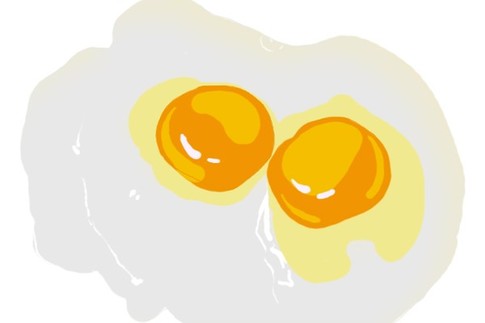 双黄蛋能孵出两只小鸡吗?