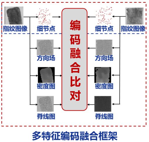 指纹识别不灵敏怎么办?