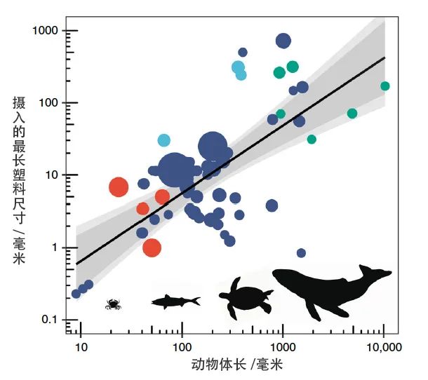 被水生生物吃掉的塑料,给环境研究带来新视角