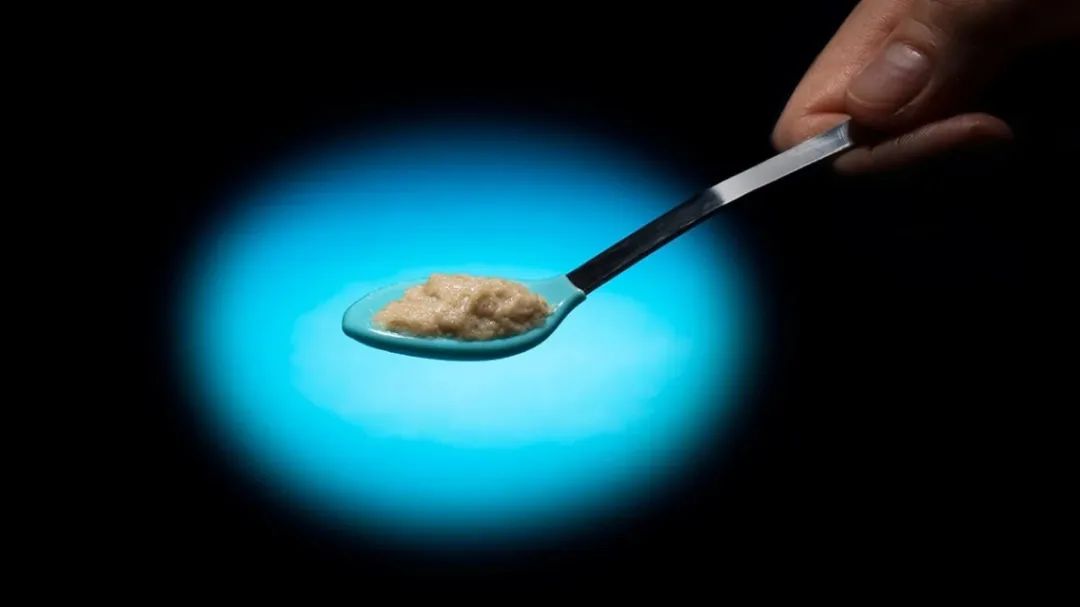 舌尖上的重金属 | 世界地球日专稿