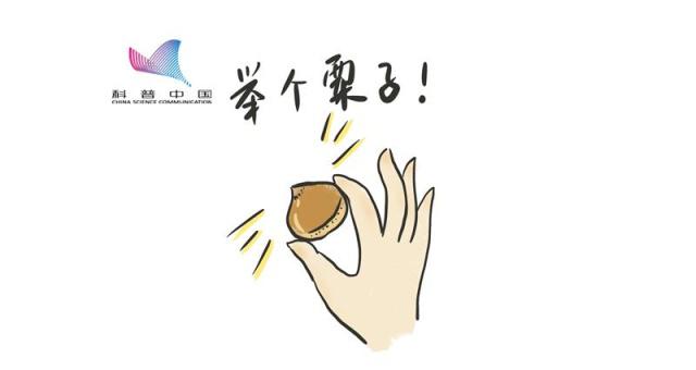全球遭遇最热五年!你的身体正在经历着什么?
