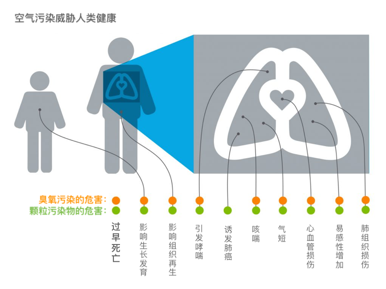 疫情隔离期间,天变蓝了,为什么臭氧污染反而更严重了?