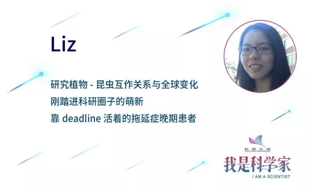 疫情隔离期间,天变蓝了,为什么臭氧污染反而更严重了?