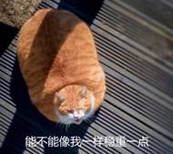 费马大定理,比传奇还传奇的传奇