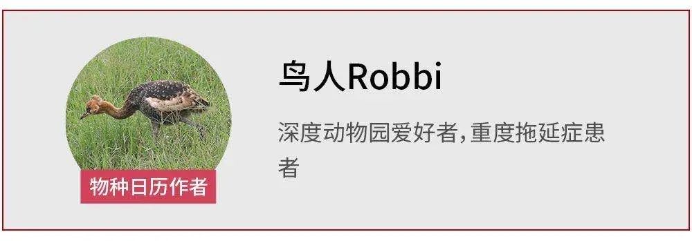 长得好看、唱得好听,它因此被关进了鸟笼