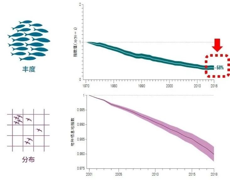 地球生命力报告:全球野生动物种群数量半个世纪消亡68%