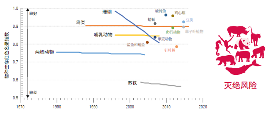 地球生命力报告:全球野生动物种群数量半个世纪消亡68%