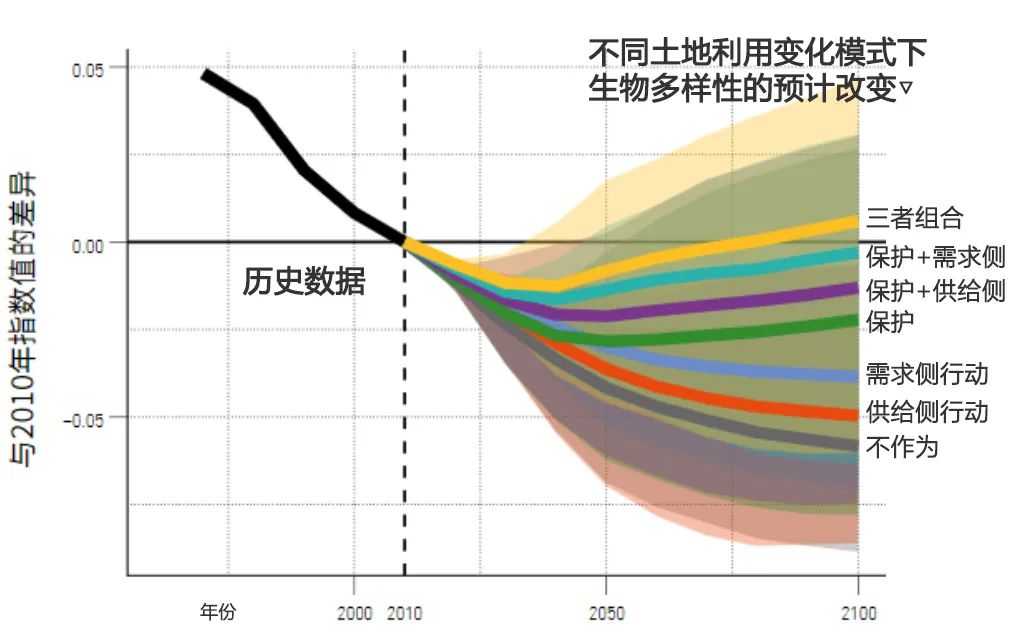 地球生命力报告:全球野生动物种群数量半个世纪消亡68%