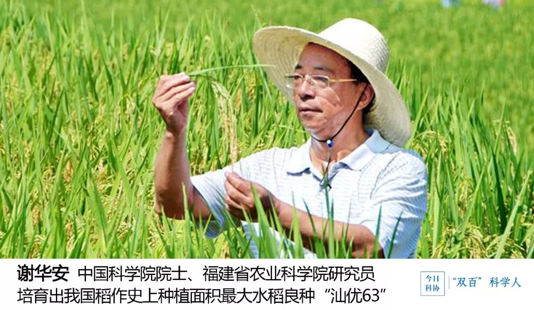 谢华安院士:让所有中国人都吃饱饭