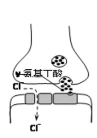 “鬼压床”?压垮你的可不是“鬼”,而是GABA