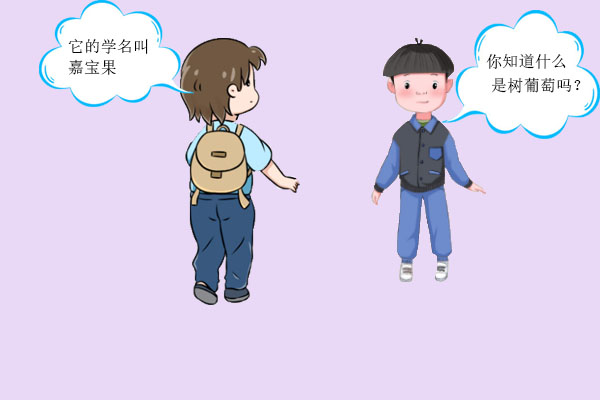 你吃过这种网红水果吗?