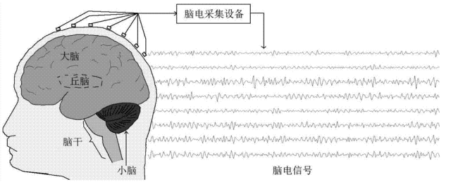 仅靠头环就能检测注意力?这跟量子波动速读一样扯淡