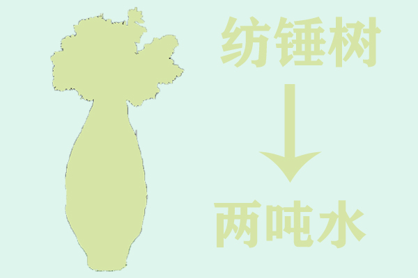 你知道自然界有哪些植物水塔吗?