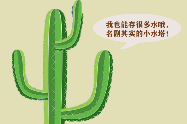 你知道自然界有哪些植物水塔吗?
