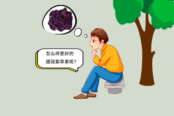 你听过紫草素吗?