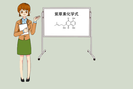 你听过紫草素吗?
