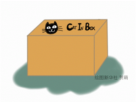 学了这么多年物理,可能你还不如猫