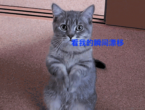 学了这么多年物理,可能你还不如猫
