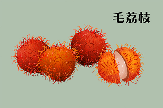山荔枝?毛荔枝?说说那些不一样的“荔枝”
