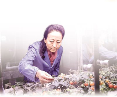 “月宫一号”总设计师——刘红:把科幻做成科学