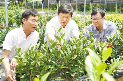 张正竹:难茶农的难事,就是我的课题