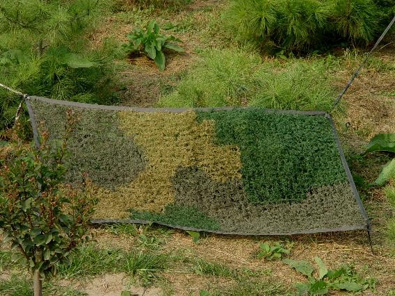 无人化战争的伪装有何特殊之处? 无人化战争的伪装有何特殊之处?