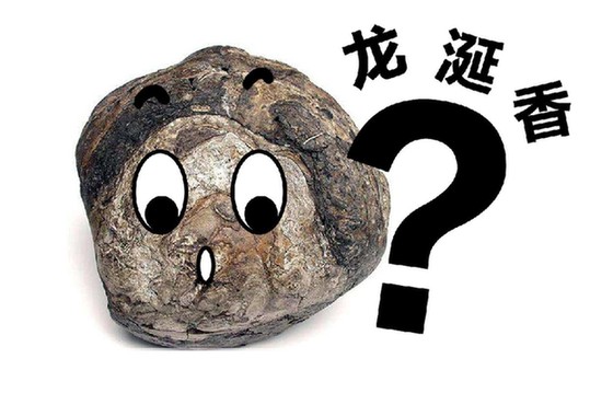 神秘的龙涎香