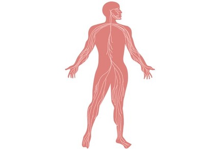 人体中的化学元素,你了解吗?