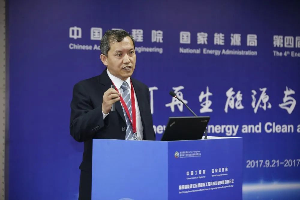 王伟胜:科技创新支撑新能源发展