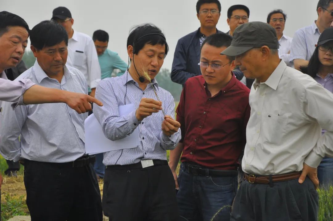 周明国:一场坚持30年的粮食保卫战